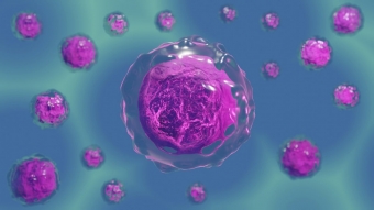 Državno tekmovanje iz biologije