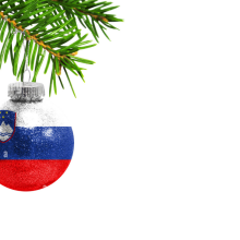 Prireditev ob prazniku samostojnosti in enotnosti oz. božično-novoletna prireditev