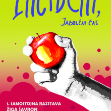 ziga vabilo razstava