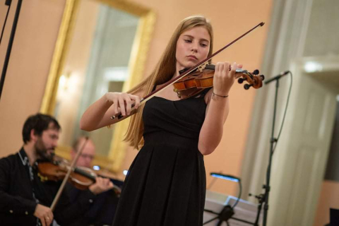 Violina