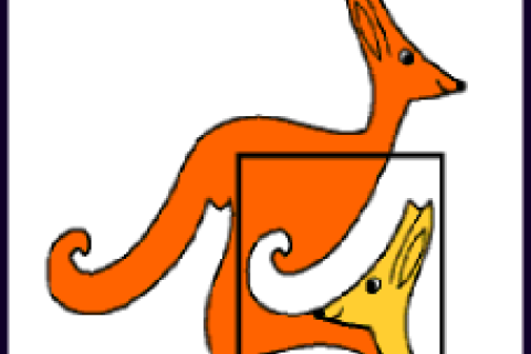 kengurur