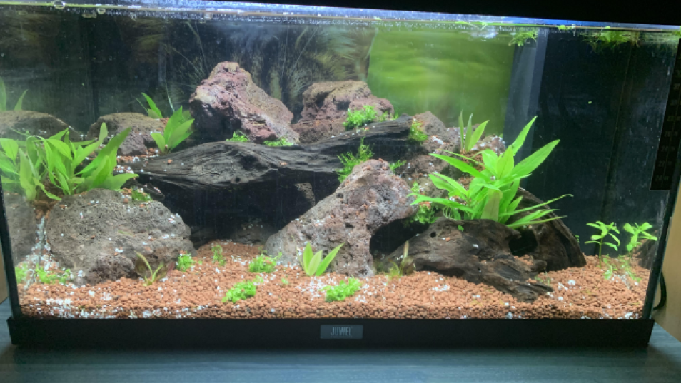 akvaristika-KM 2021 (Small)