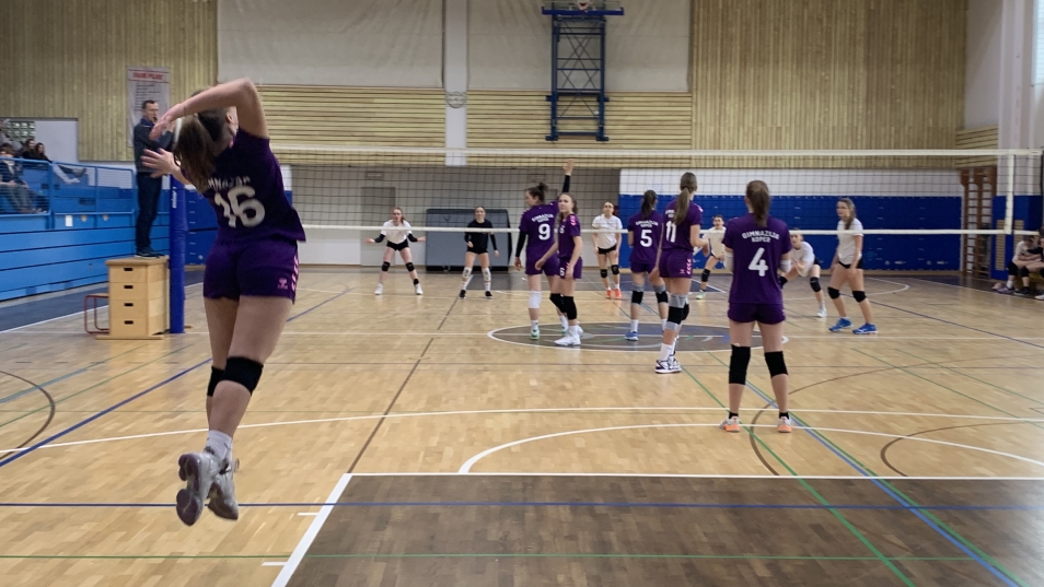 image_50434049