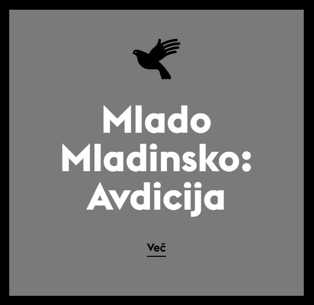 MLADINSKO GLEDALISCE