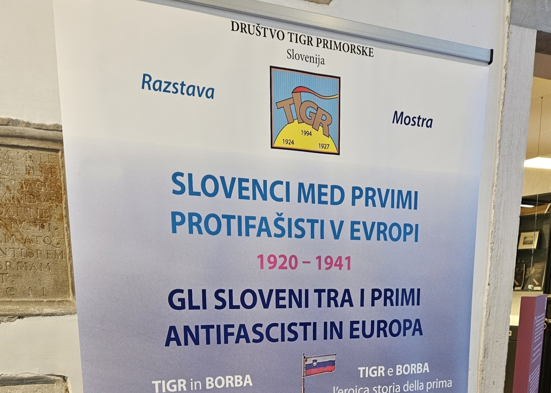 RAZSTAVA ATRIJ TIGR
